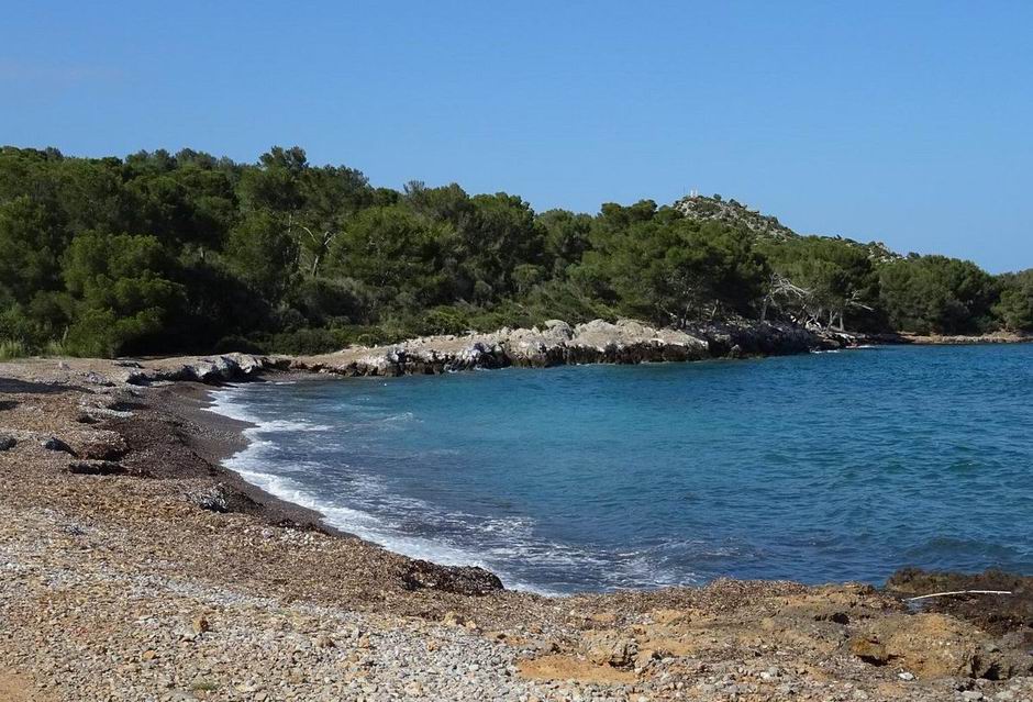 Alcudia Aucanada Beach