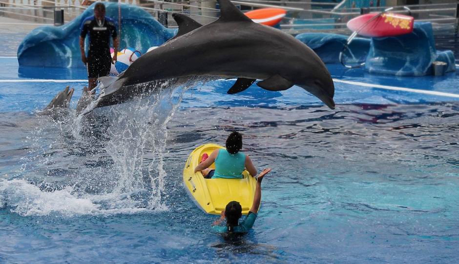 marineland mallorca